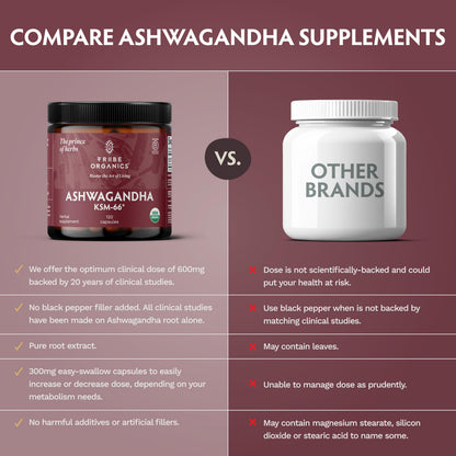 TRIBE ORGANICS Ashwagandha KSM 66 Pure Organic Root Powder Extract Ayurvedic Supplement - Focus, Mood Support, Increase Energy, Strength, 600mg of Natural KSM66 - OmniHealth US