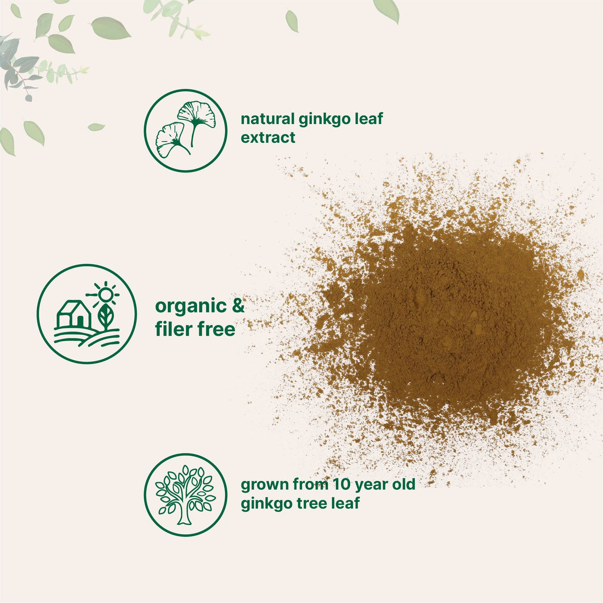 Micro Ingredients Raw Organic Ginkgo Biloba Powder, 8 Ounce (18 Months Supply) Micro IngredientsBuy Supplements Australia