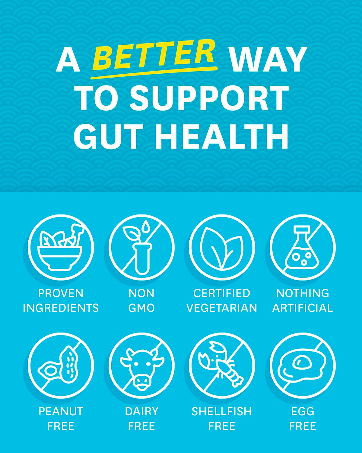 Zenwise Health Digestive Enzymes - Probiotic Multi Enzymes with Probiotics Zenwise HealthBuy Supplements Australia
