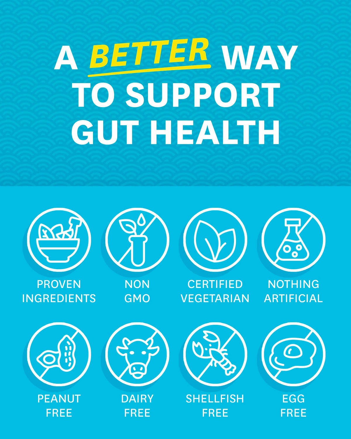 Zenwise Digestive Enzymes - Probiotic Multi Enzymes with Probiotics, 15 Ct Zenwise HealthBuy Supplements Australia