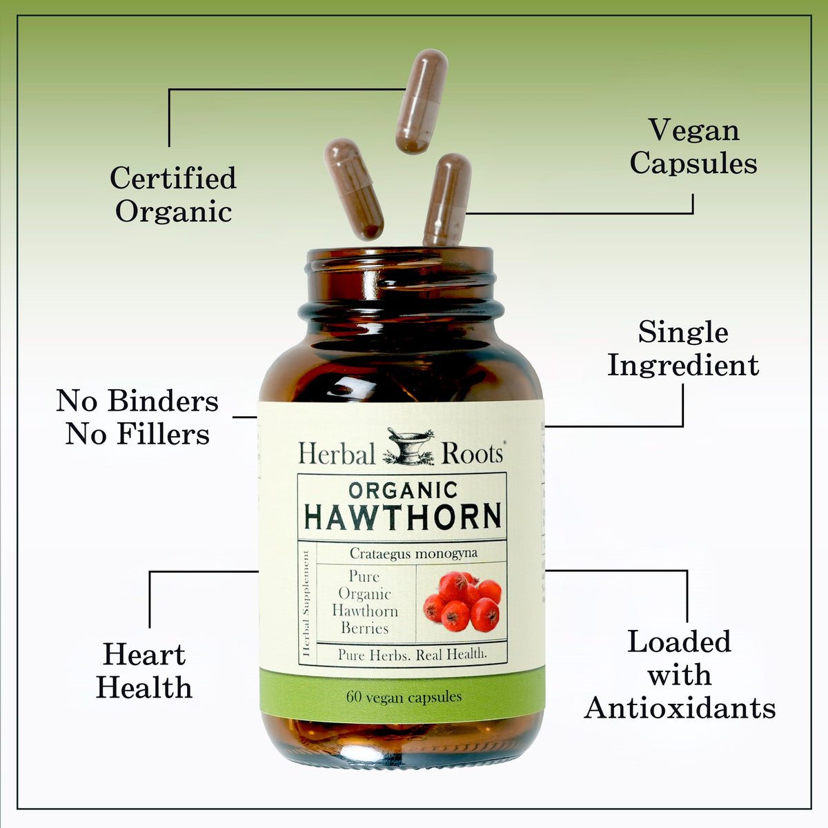 Herbal Roots Organic Hawthorn Berry Capsules | Extra Strength 1,200mg per Serving | 60 Vegan Capsules - OmniHealth US