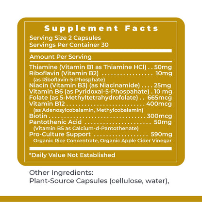 Premier Research Labs Complete B - Vitamin B Complex Supplement for Optimal Health | Vitamin B Supplement with Biotin | 9 Active B Vitamins | for Liver - OmniHealth US