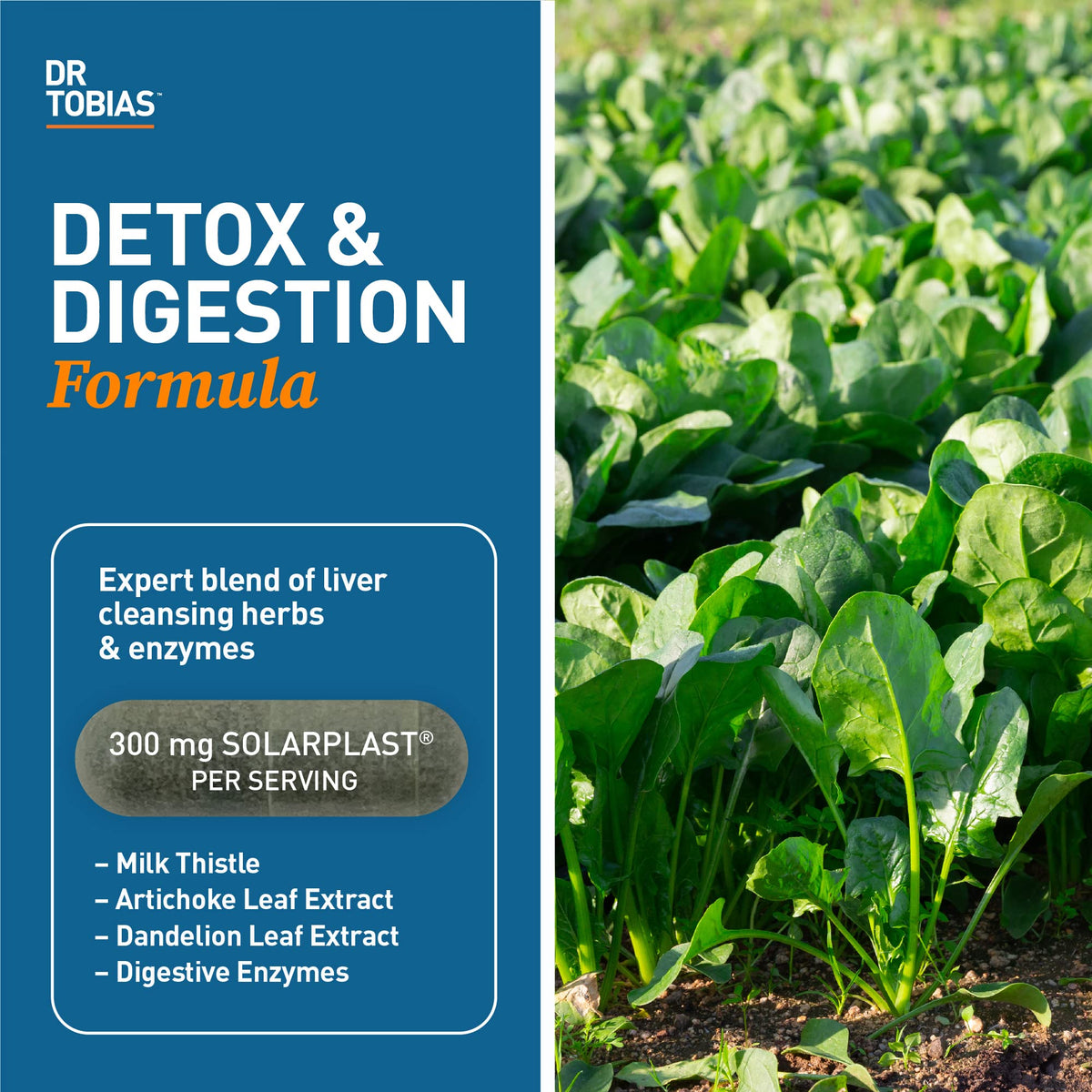 Dr. Tobias Liver 21 Day Cleanse, Herbal Liver Detox Cleanse with Solarplast, Artichoke Dr. TobiasBuy Supplements Australia