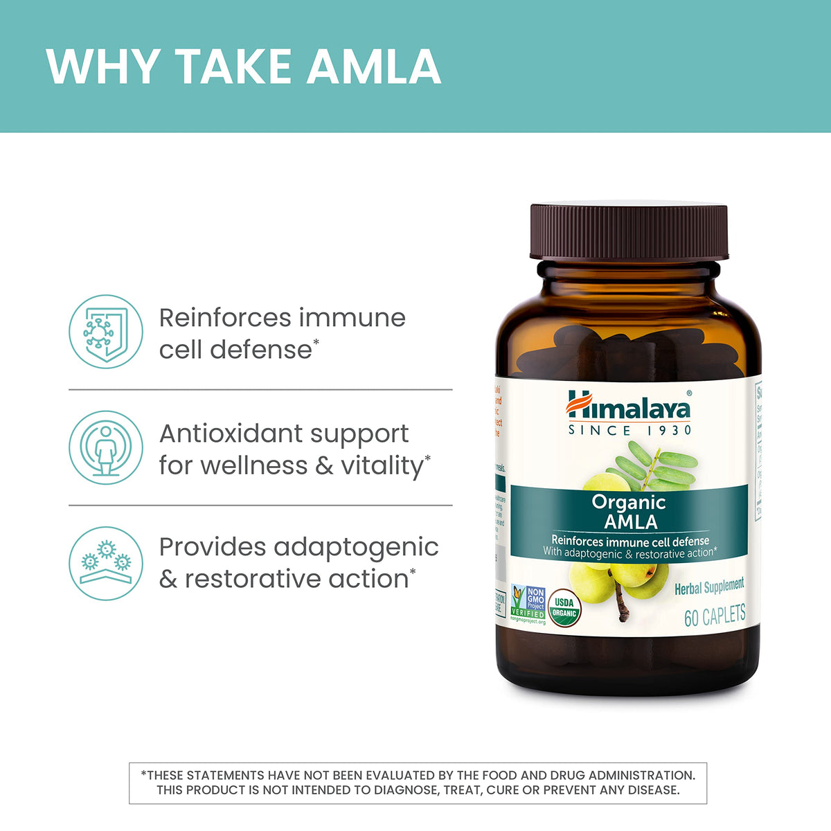 Himalaya Organic Amla - Herbal Immune Support Supplement with Adaptogen and Antioxidant - USDA Organic, Vegan - OmniHealth US