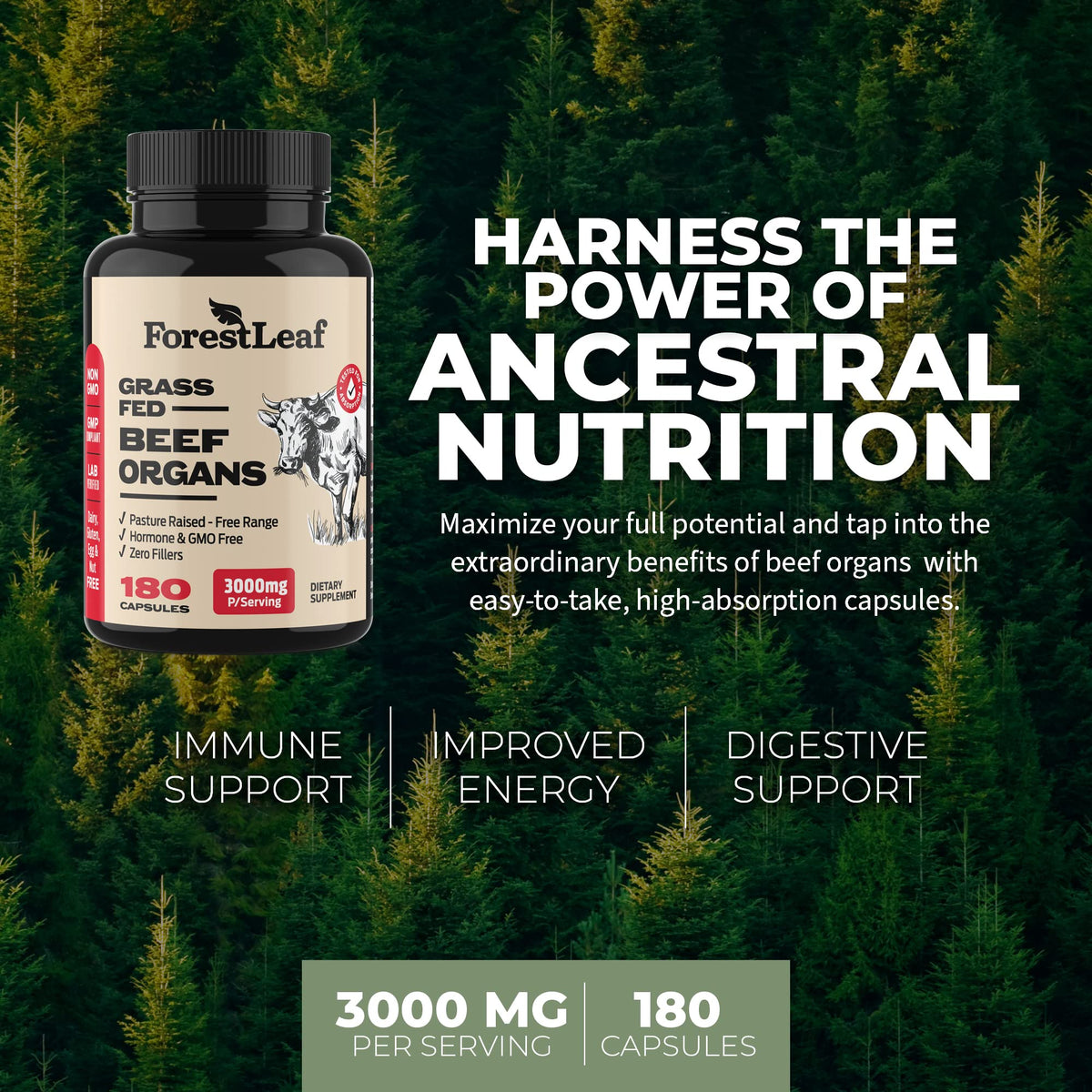 ForestLeaf Beef Organ Supplement - Grass Fed & Pasture Raised - Total Body Wellness & Performance, Organ Complex with 3000mg of Desiccated Beef Liver, OmniHealth US
