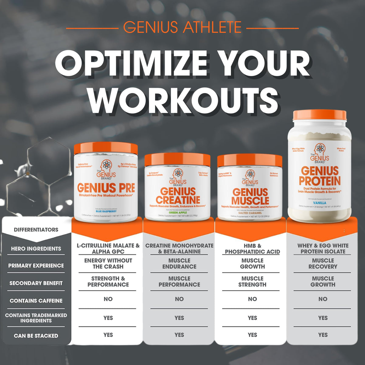Genius Pre Workout Powder, Blue Razz, and Genius Micronized Creatine Monohydrate Powder, Unflavored, All Natural Nootropic Pre Workout and Post Workout Supplement Stack