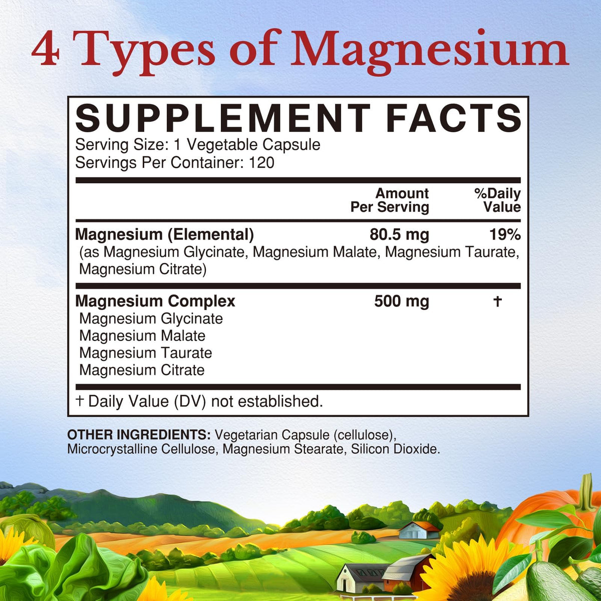Vitalitown Magnesium Complex Supplement 500mg - NSF Certified Magnesium Glycinate, Malate, Taurate & Citrate - Chelated High Absorption & Gentle on Stomach - OmniHealth US