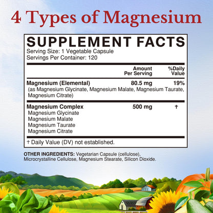 Vitalitown Magnesium Complex Supplement 500mg - NSF Certified Magnesium Glycinate, Malate, Taurate & Citrate - Chelated High Absorption & Gentle on Stomach - OmniHealth US