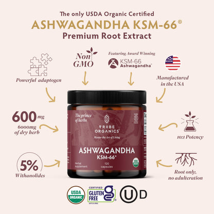 TRIBE ORGANICS Ashwagandha KSM 66 Pure Organic Root Powder Extract Ayurvedic Supplement - Focus, Mood Support, Increase Energy, Strength, 600mg of Natural KSM66 - OmniHealth US