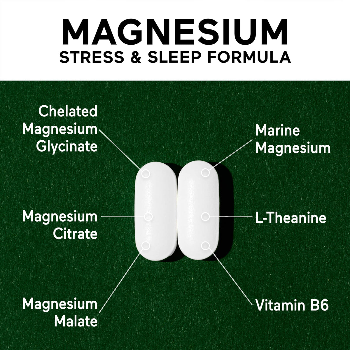 Smarter Nutrition Magnesium Complex - Chelated Magnesium Glycinate with Citrate, Malate and L-Theanine for Sleep, Muscle Relaxation and Stress Support - OmniHealth US
