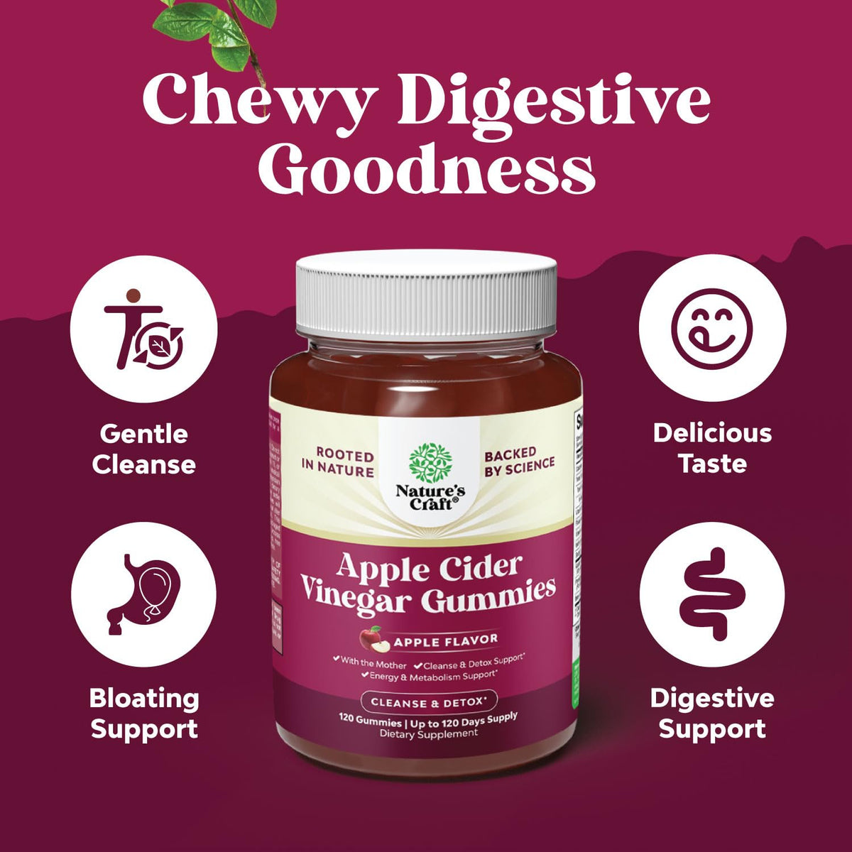 ACV Apple Cider Vinegar Gummies - Natural Energy Supplement ACV with Mother - Maple Wellness Supplements
