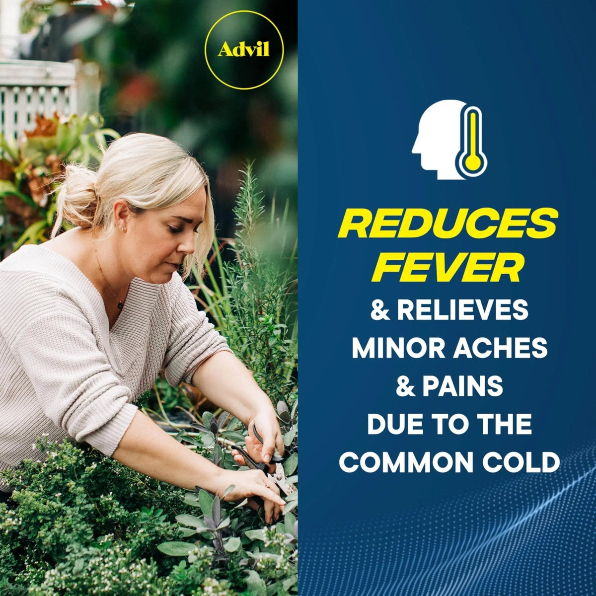 Advil Ibuprofen Coated Caplets Pain Reliever and Fever Reducer 200 Milligram 24Ct - Maple Wellness Supplements