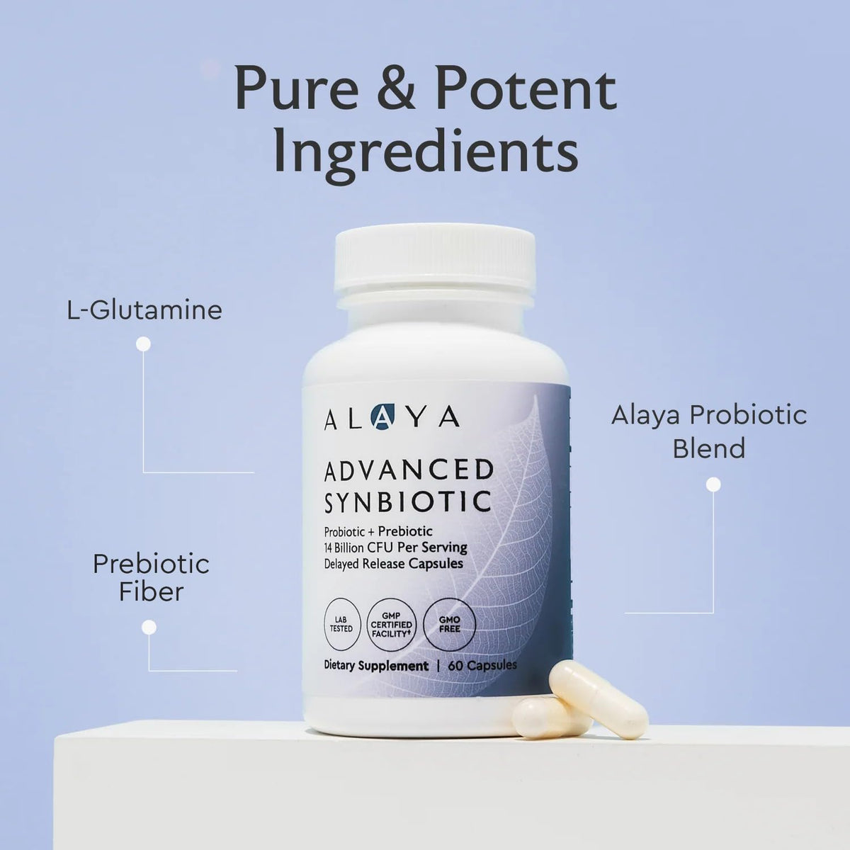 Alaya Naturals Advanced Synbiotic - Probiotic + Prebiotic - 14 Billion CFU Delayed Release Probiotic Supplement with Prebiotics from Sunfiber®, and L-glutamine for Gut Lining Integrity - 60 Capsules - Maple Wellness Supplements