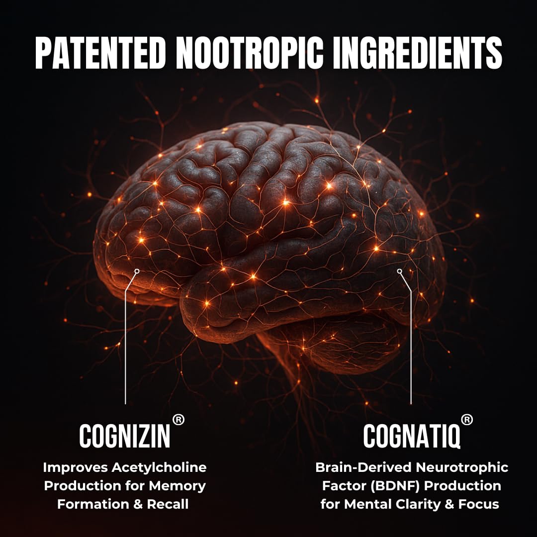 All-Natural Brain Supplement for Memory and Focus - Caffeine-Free Long-Term Cognitive Support - 10 Nootropic Ingredients Including Lion’s Mane, Bacopa, Turmeric, Ginkgo & Huperzine A - 90 Capsules - Maple Wellness Supplements