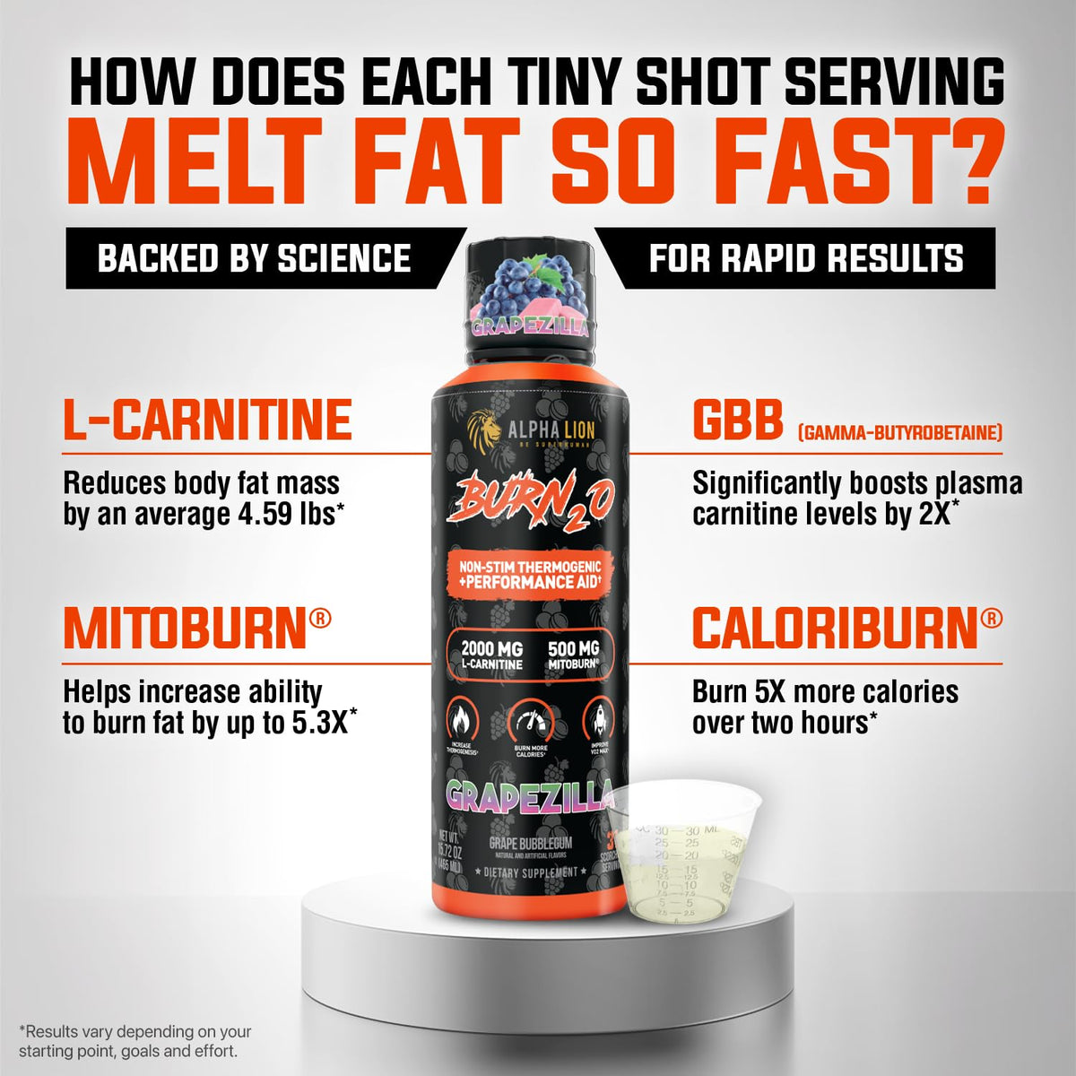ALPHA LION Burn2O L-Carnitine Liquid 2000mg – Stim Free Super Thermogenic Fat Burner with MitoBurn® & CaloriBurn GP®, Metabolism Booster, Zero Calorie - Maple Wellness Supplements