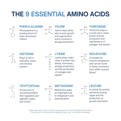 ALTAGAMMA Pure Amino Acids Complex - Protein for Pre/Post Workout, Energy & Muscle Recovery - 9 Essential Amino Acids Supplement (EAA) & BCAAs - Leucine, Lysine, L Tyrosine, L Arginine, 60 Capsules - Maple Wellness Supplements