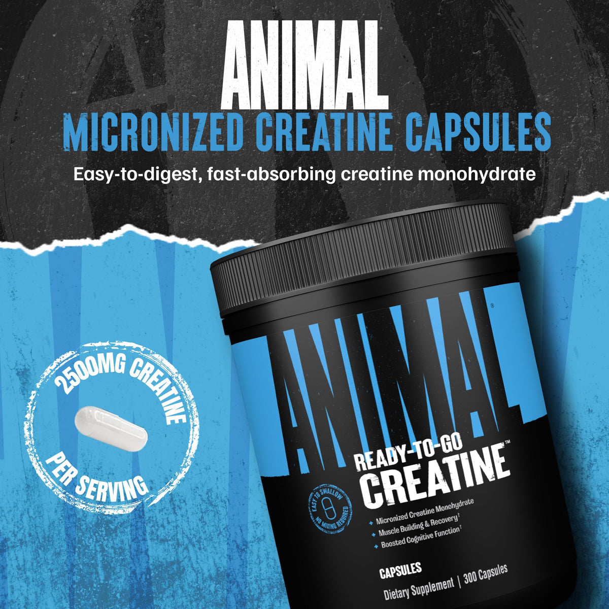 Animal Micronized Creatine Monohydrate Capsules - 300 Caps, 2500mg per Serving to Support Muscle Growth, Endurance, ATP Production, Cognitive Function, Strength - Maple Wellness Supplements