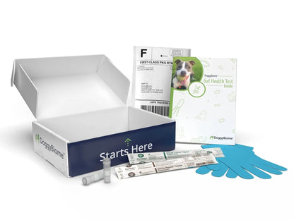 AnimalBiome Dog Gut Health Test – DoggyBiome At Home Stool Testing Kit, Canine Fecal Analysis for Digestive Issues, Diarrhea & Allergy Insights w/Personalized Report & Custom Plan (Dogs Outside US) - Maple Wellness Supplements