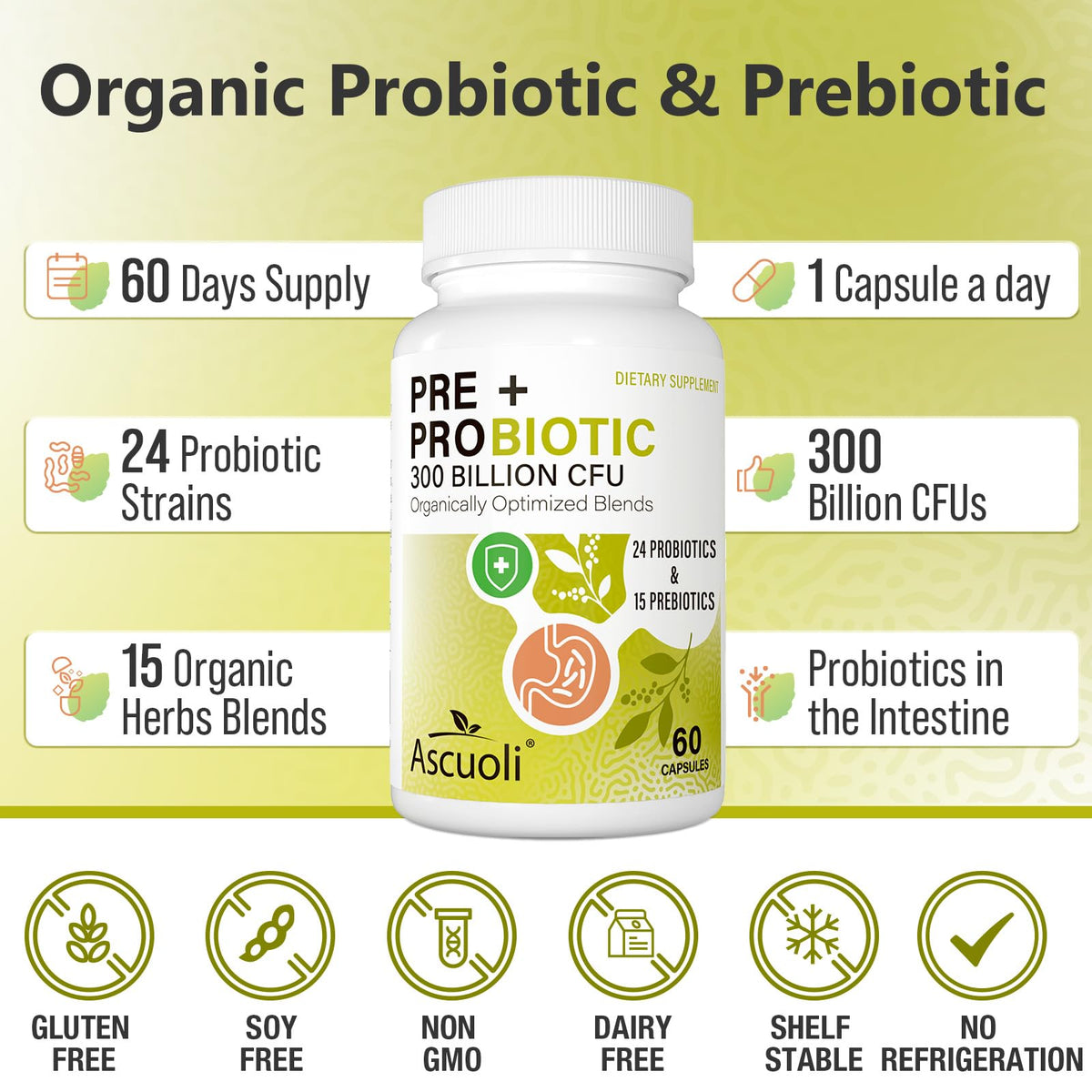 Ascuoli Probiotics for Women & Men - 300 Billion CFU, 24 Strains Probiotics + 15 Organic Herbs Blend, Daily Probiotic for Digestive Health, - Maple Wellness Supplements