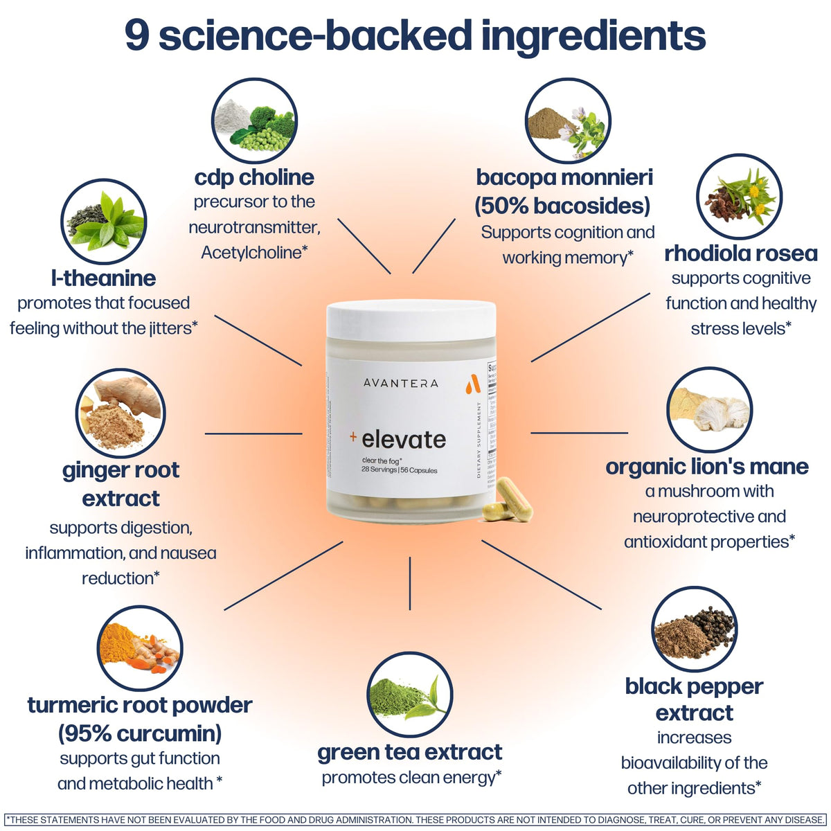 Avantera Elevate Premium Nootropic Supplement - Beat Brain Fog - Best Focus Supplements for Memory & Focus Support - Energy Without Crash - Maple Wellness Supplements