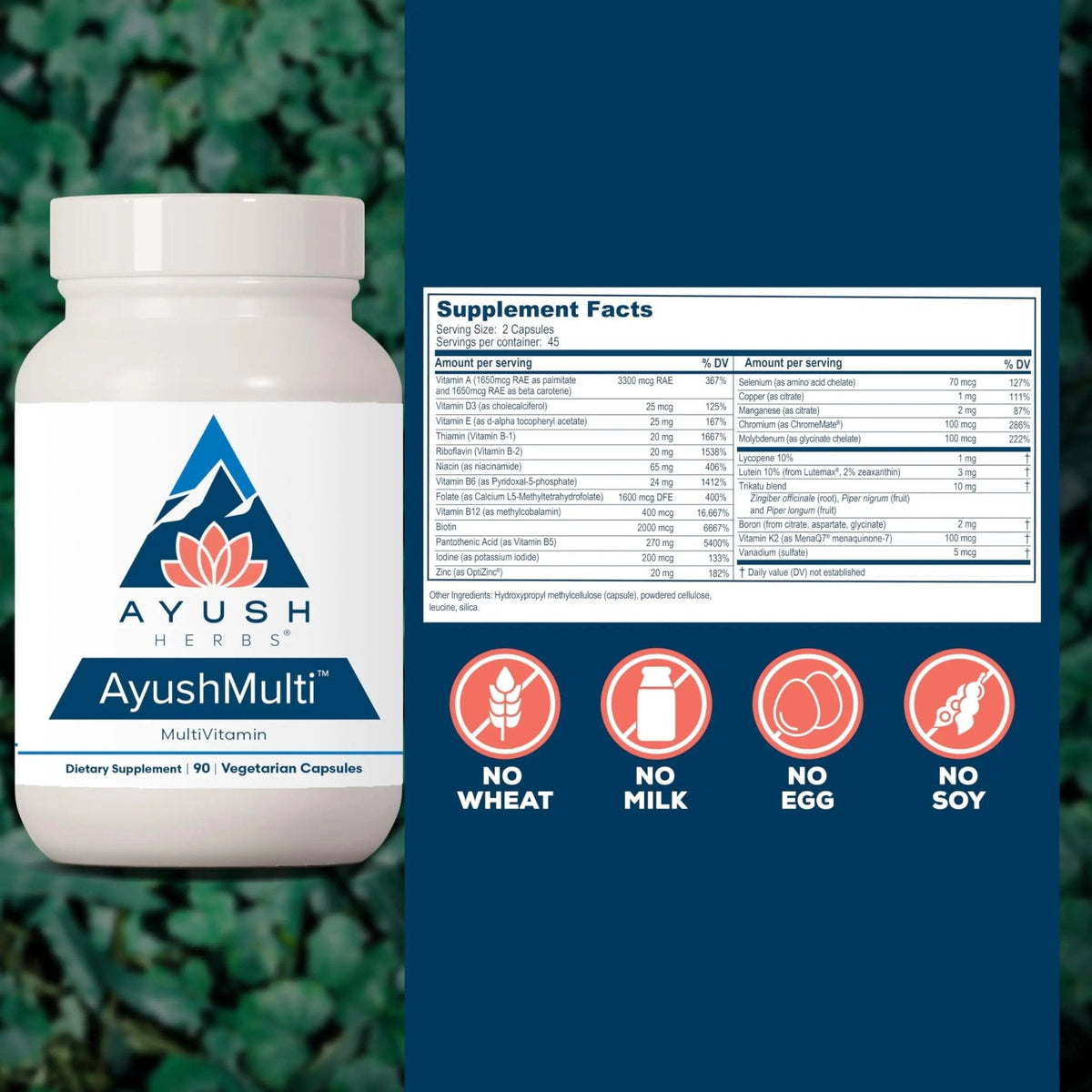Ayush Herbs Ayush Multi - Multi Vitamin Capsules, Multivitamin with Iodine & Zinc for Men & Women - Maple Wellness Supplements