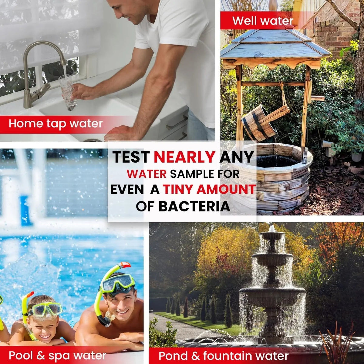 Bacteria Water Test Kit – Coliform, E. coli & Salmonella Detection for Well & Tap Water | Rapid Home Drinking Water Screening Kit with Lab-Quality Results | Leaping Lynx - Maple Wellness Supplements