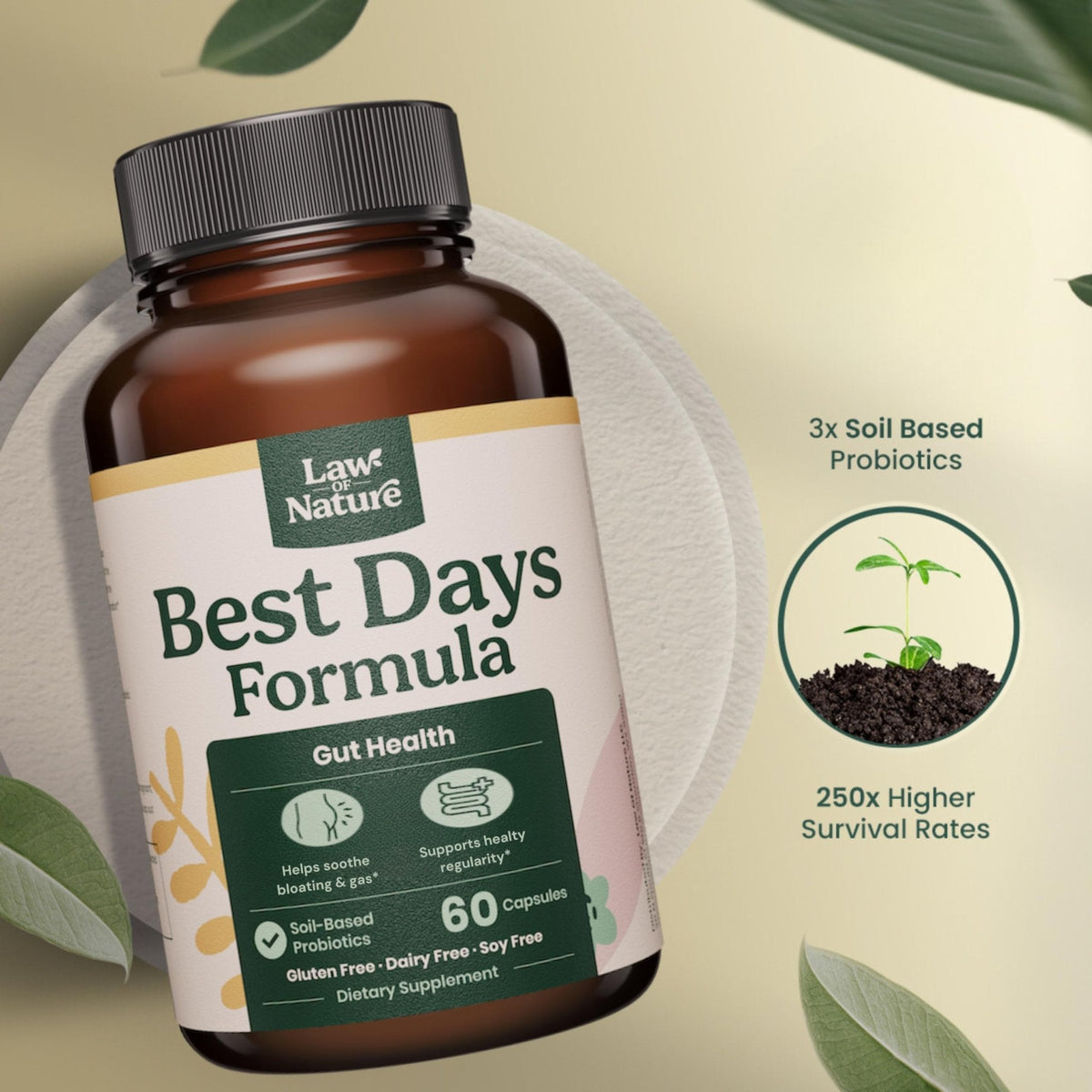 Best Days Formula | Advanced 5-in-1 Gut Support for Bloating, Gas & Irregularity | Soil-Based Probiotics + Prebiotics, L-Glutamine, Aloe Vera & More | 60 Capsules - Maple Wellness Supplements