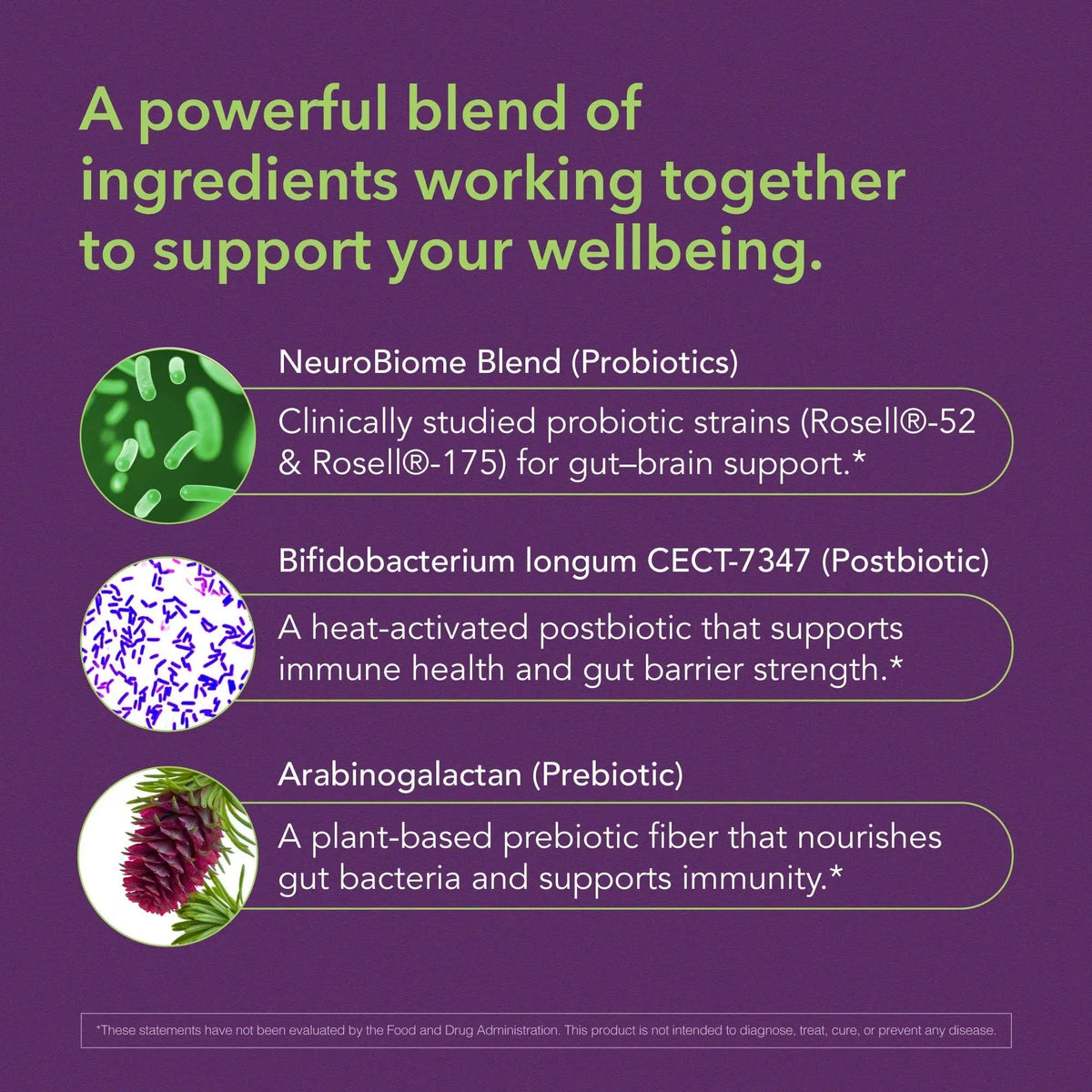 BIOLIGENT Tribiotic+ Prebiotic, Probiotic and Postbiotic Supplement for Women & Men, Gut Health, Immune Support, Bloating Relief, Daily Microbiome and Digestive Support, 30 Capsules, 30 Day Supply - Maple Wellness Supplements