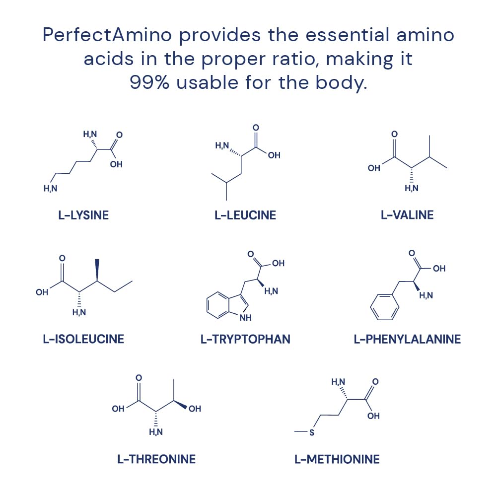 BodyHealth PerfectAmino (150 ct) Easy to Swallow Tablets, Essential Amino Acids Supplement with BCAAs, Vegan Protein for Pre/Post Workout & Muscle Recovery with Lysine, Tryptophan, Leucine, Methionine - Maple Wellness Supplements