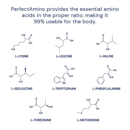 BodyHealth PerfectAmino (150 ct) Easy to Swallow Tablets, Essential Amino Acids Supplement with BCAAs, Vegan Protein for Pre/Post Workout & Muscle Recovery with Lysine, Tryptophan, Leucine, Methionine - Maple Wellness Supplements