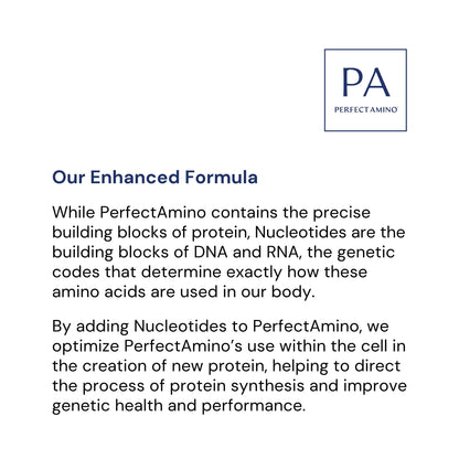 BodyHealth Probiotic Enhanced with PerfectAmino for Women and Men, Spore Based with Bifidobacterium, Lactobacillus Salivarius, - Maple Wellness Supplements