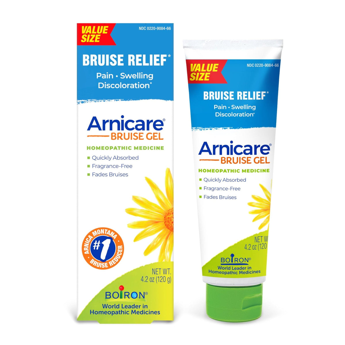 Boiron Arnicare Bruise Gel for Pain, Inflammation or Swelling, Soreness, and Discoloration - Non-greasy and Fragrance-Free - 4.2 oz - Maple Wellness Supplements
