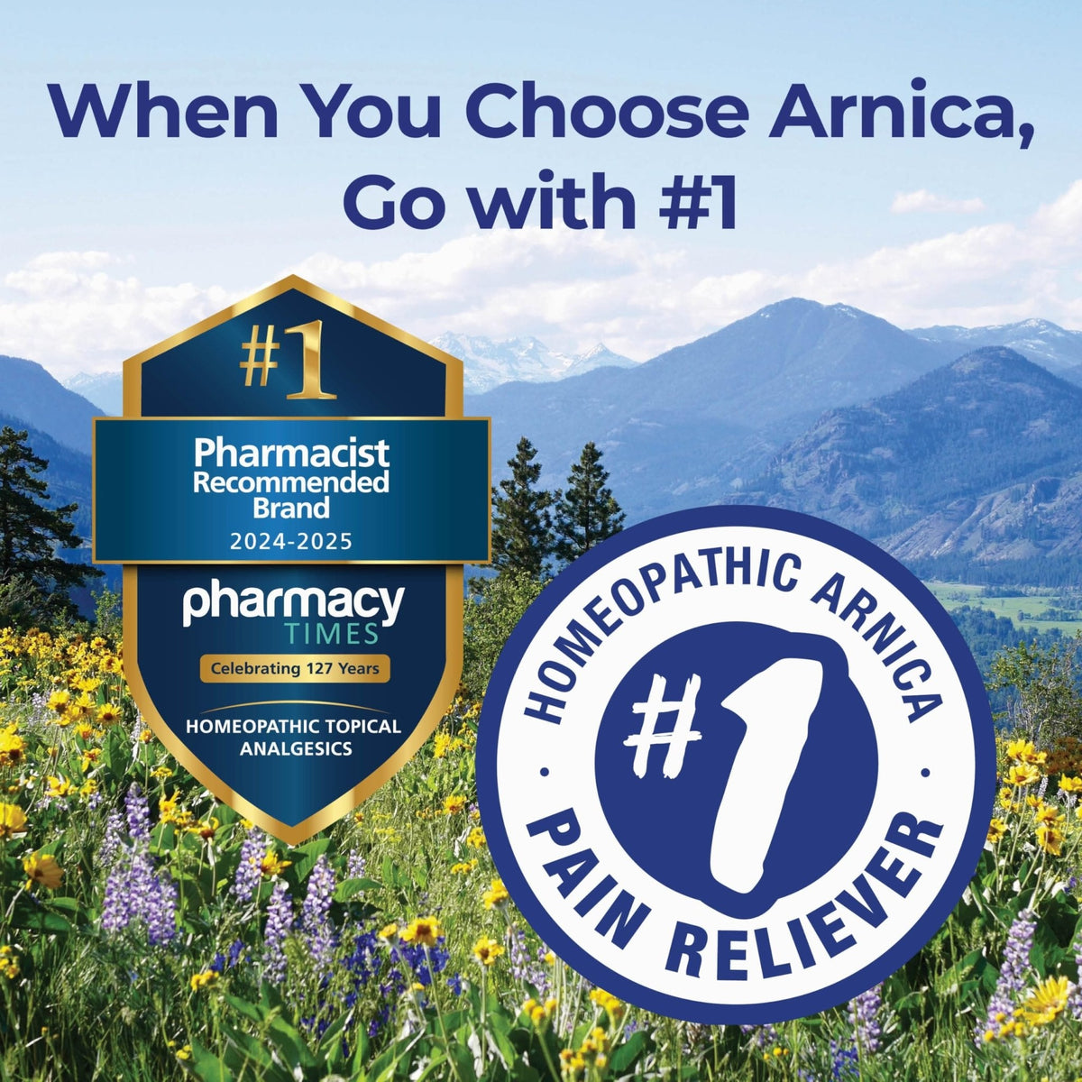 Boiron Arnicare Gel and Arnica 30c Value Pack for Pain Relief, Muscle Soreness, and Swelling from Bruising or Injury - 2.6 oz + 80 Pellet Tube - Maple Wellness Supplements