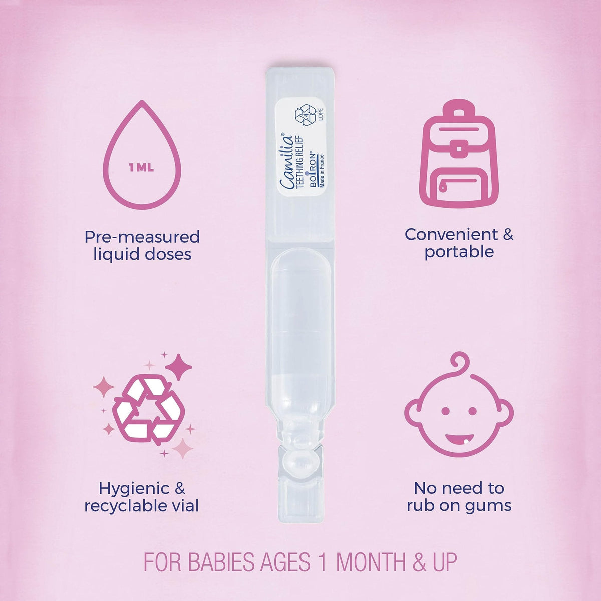 Boiron Camilia Teething Drops for Daytime and Nighttime Relief of Painful or Swollen Gums and Irritability in Babies - 30 Count - Maple Wellness Supplements