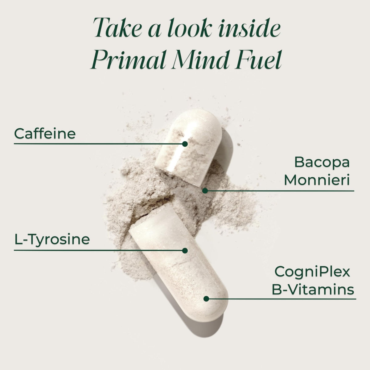 Brain Supplement by Primal Harvest, Primal Mind Fuel Brain Booster for Focus, Energy, Clarity, and Brain Health 30 Capsules Nootropics Brain Support Supplement for Men and Women - Maple Wellness Supplements