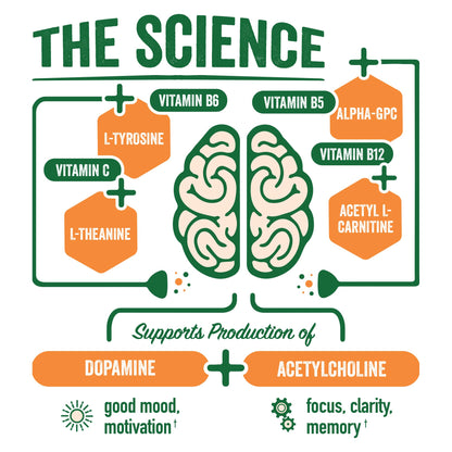 BrainJuice Nootropics Brain Support Supplement, Gluten Free Powder for Energy and Focus, Pre Workout w/Alpha GPC, Vitamin B & Organic Green Tea Extract Caffeine, Active Pomegranate Acai, 15 Servings - Maple Wellness Supplements
