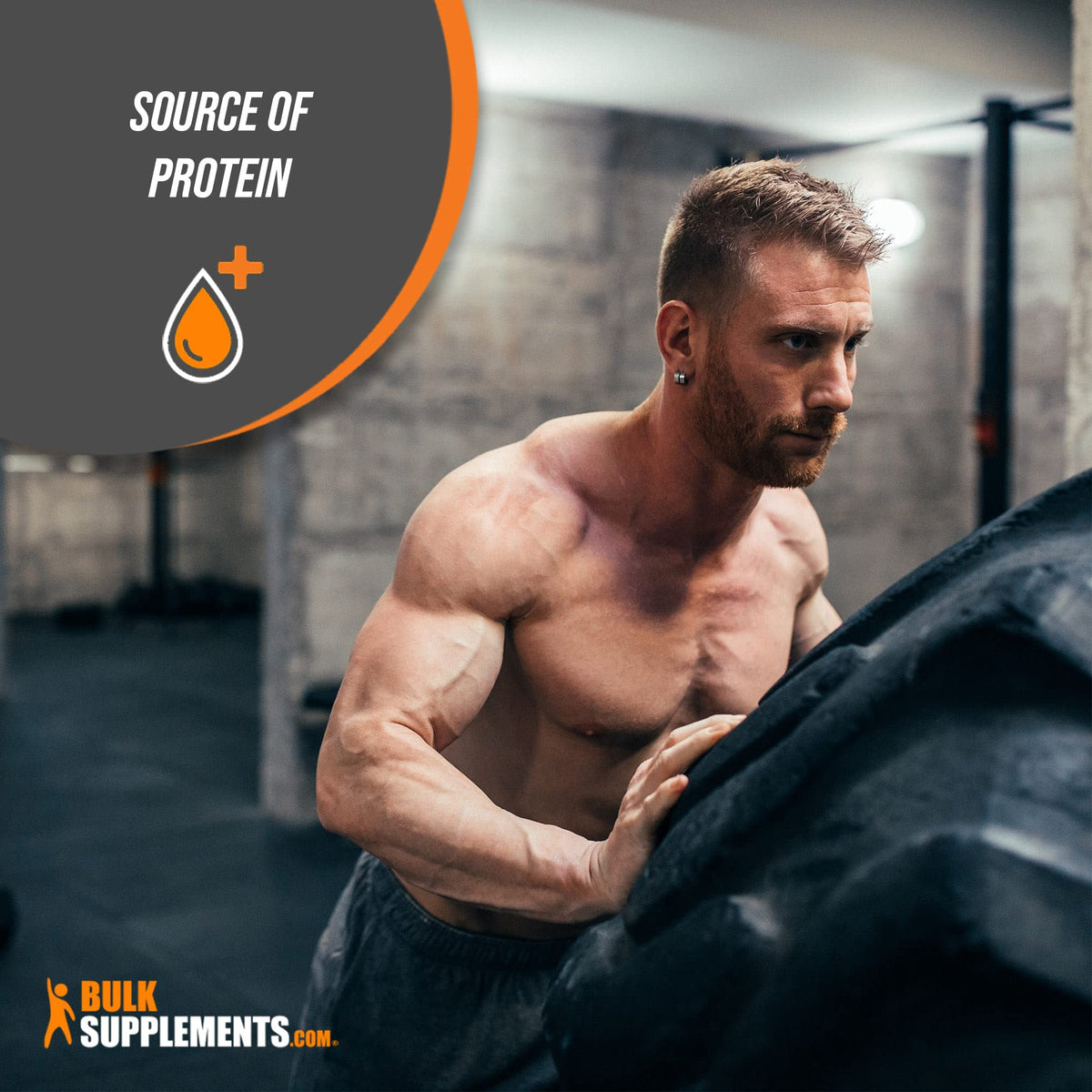 BulkSupplements.com Hydrolyzed Whey Protein Isolate - Whey Isolate Protein Powder - Maple Wellness Supplements