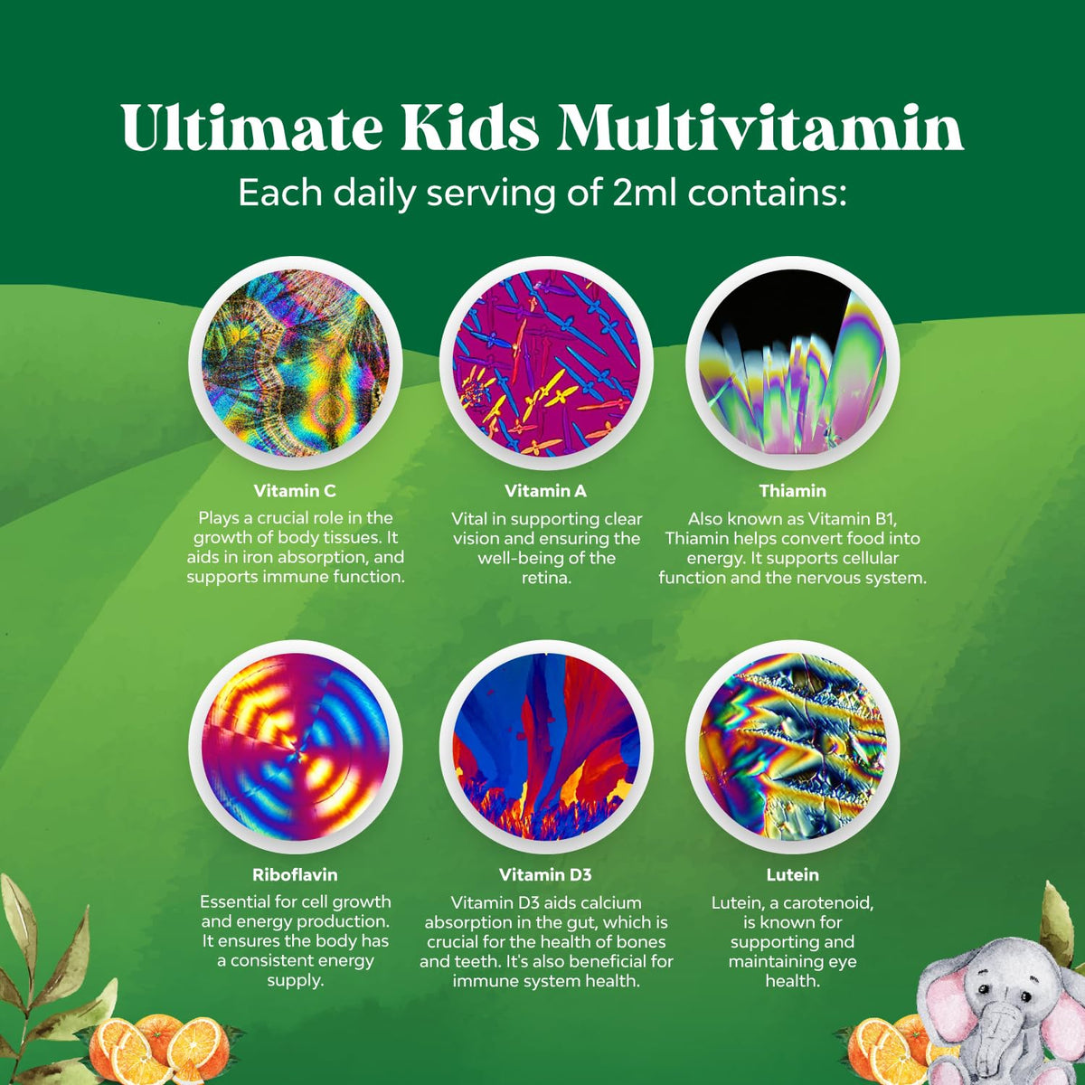 Bundle of Kids DHA Omega 3 Gummies - Fatty Acids Omega 3 6 9 for Brain Immune Strength Vision Focus Support and Liquid Multivitamin for Kids Immunity Support - Maple Wellness Supplements