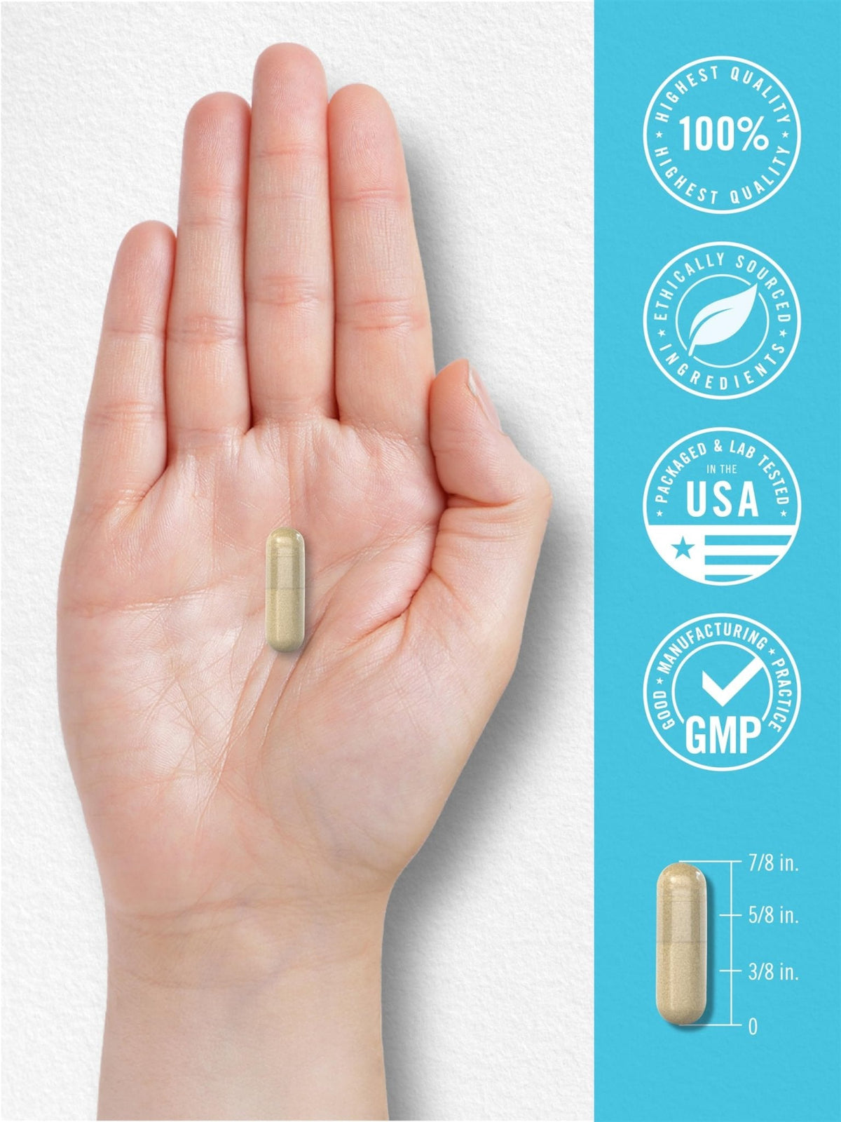 Carlyle NAD+ Supplement 1000 mg | 60 Capsules | with Resveratrol and Collagen | Advanced Complex for Women and Men | Non-GMO & Gluten Free - Maple Wellness Supplements