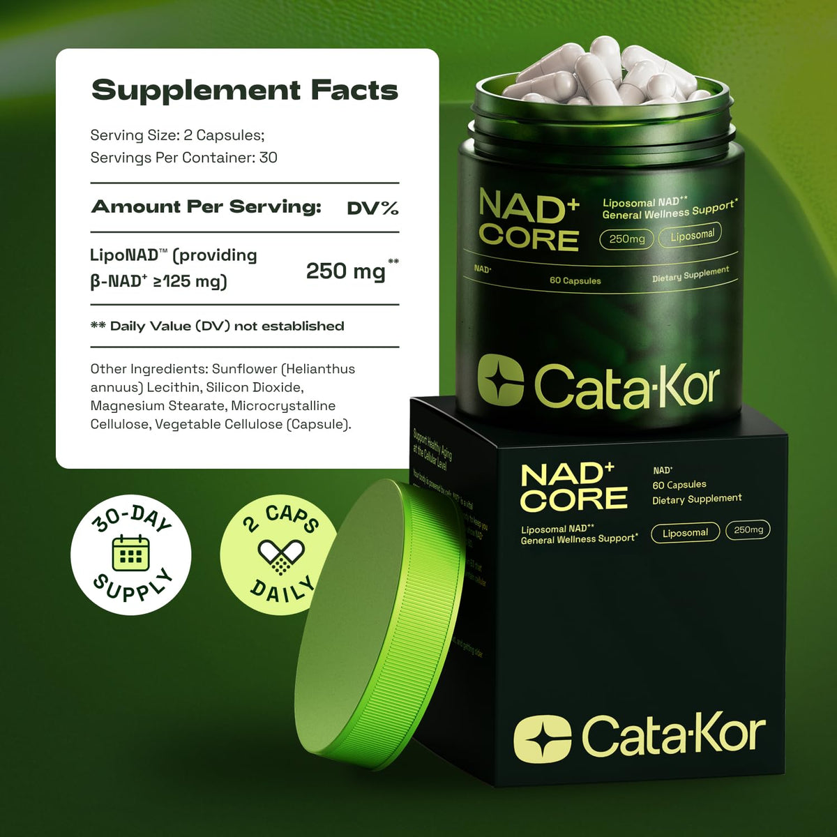 Cata-Kor NMN Supplement Alternative – Liposomal NAD+ Supplement - NAD CORE 30-Day Supply 60 Capsules - Maple Wellness Supplements