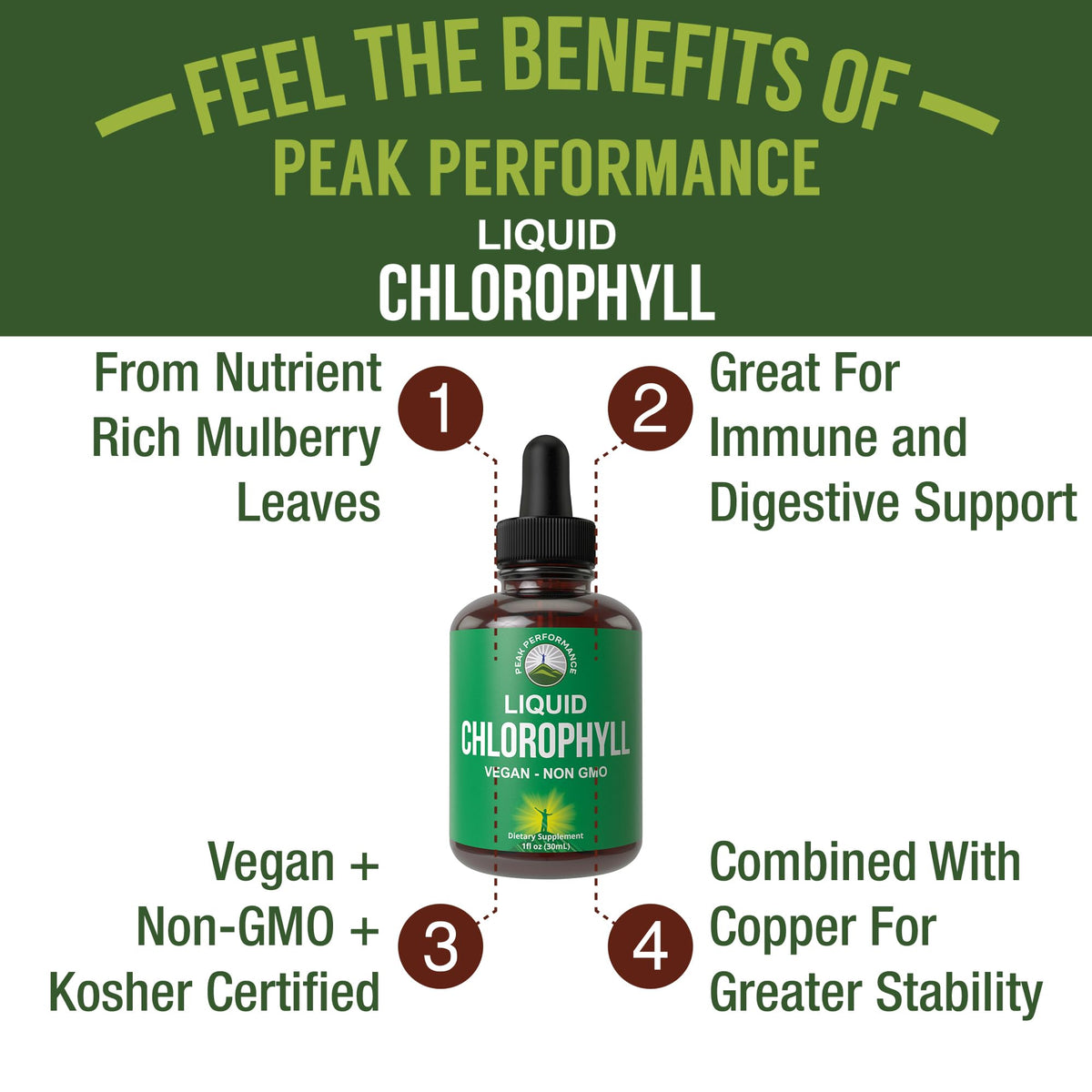 Chlorophyll Liquid Drops - Ultra High Purity, Alcohol Free, Non-GMO, Gluten Free Liquid Chlorophyll Drops Supplement. Take with Water. Internal Deodorant + Skin Care, Immune, and Digestive Support - Maple Wellness Supplements