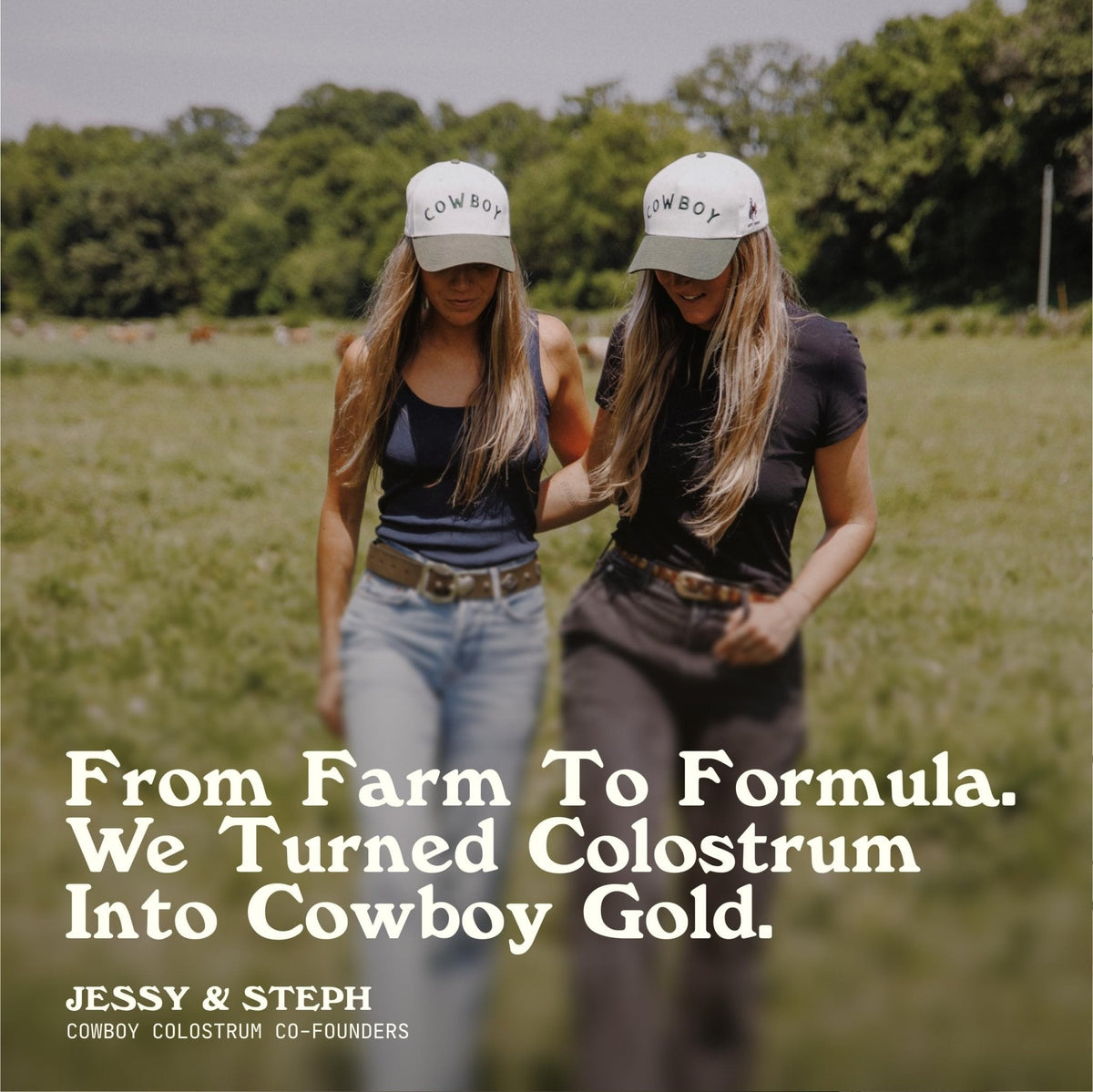 Cowboy - The Exclusive 1st Milking, Whole, Grass Fed Colostrum Supplement for Full Body Health - Bovine Colostrum Powder Packed w/Bioactive Nutrients - Sugar Free (Vanilla, 40 Servings) - Maple Wellness Supplements