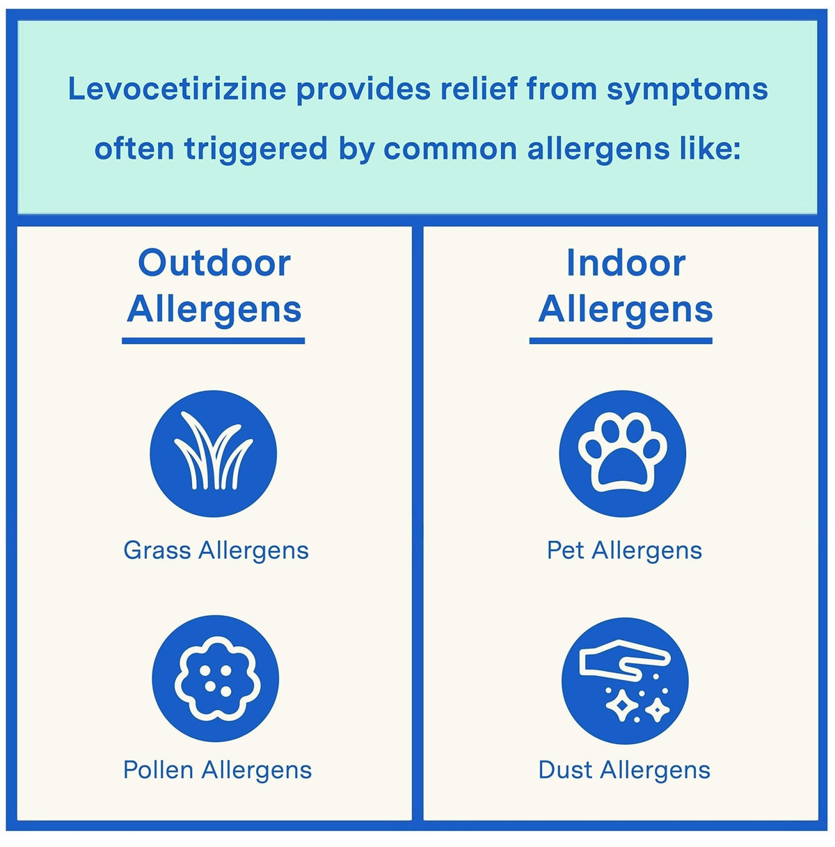 Curist - Generic Xyzal Levocetirizine 5 mg - (90 Tablets) - Allergy Pills, 24 Hour Allergy Relief - Allergy Medicine - Maple Wellness Supplements