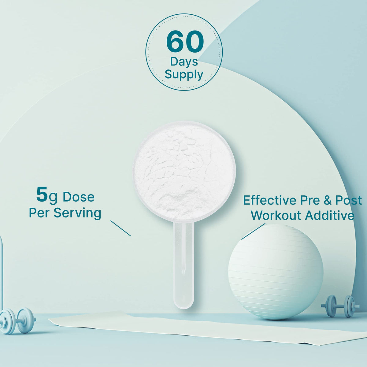 DEAL SUPPLEMENT Instant Creatine Monohydrate Powder, 5g Per Serving – 60 Servings | Micronized, Unflavored, Fast Absorbing Formula - Maple Wellness Supplements