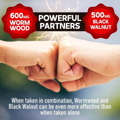 DEDICAD Sweet Wormwood Capsules 1500mg with Black Walnut & Cloves - 240 Vegan Capsules - Artemisia Annua Supplement for Immunity - Maple Wellness Supplements