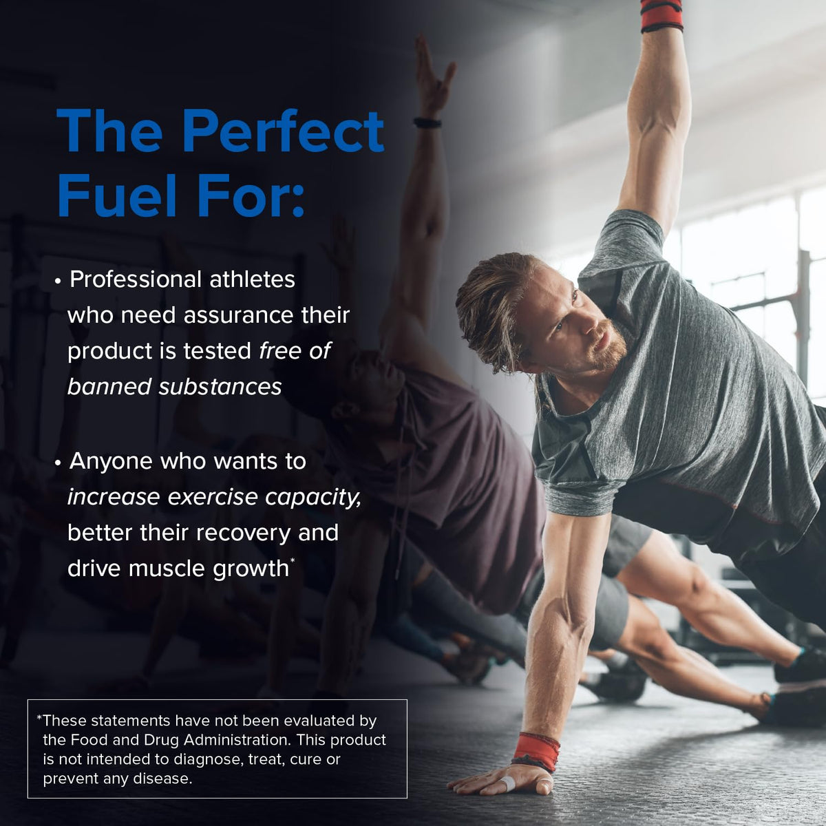 Designs for Sport Creatine Monohydrate Powder - NSF Certified for Sport Creatine - Maple Wellness Supplements