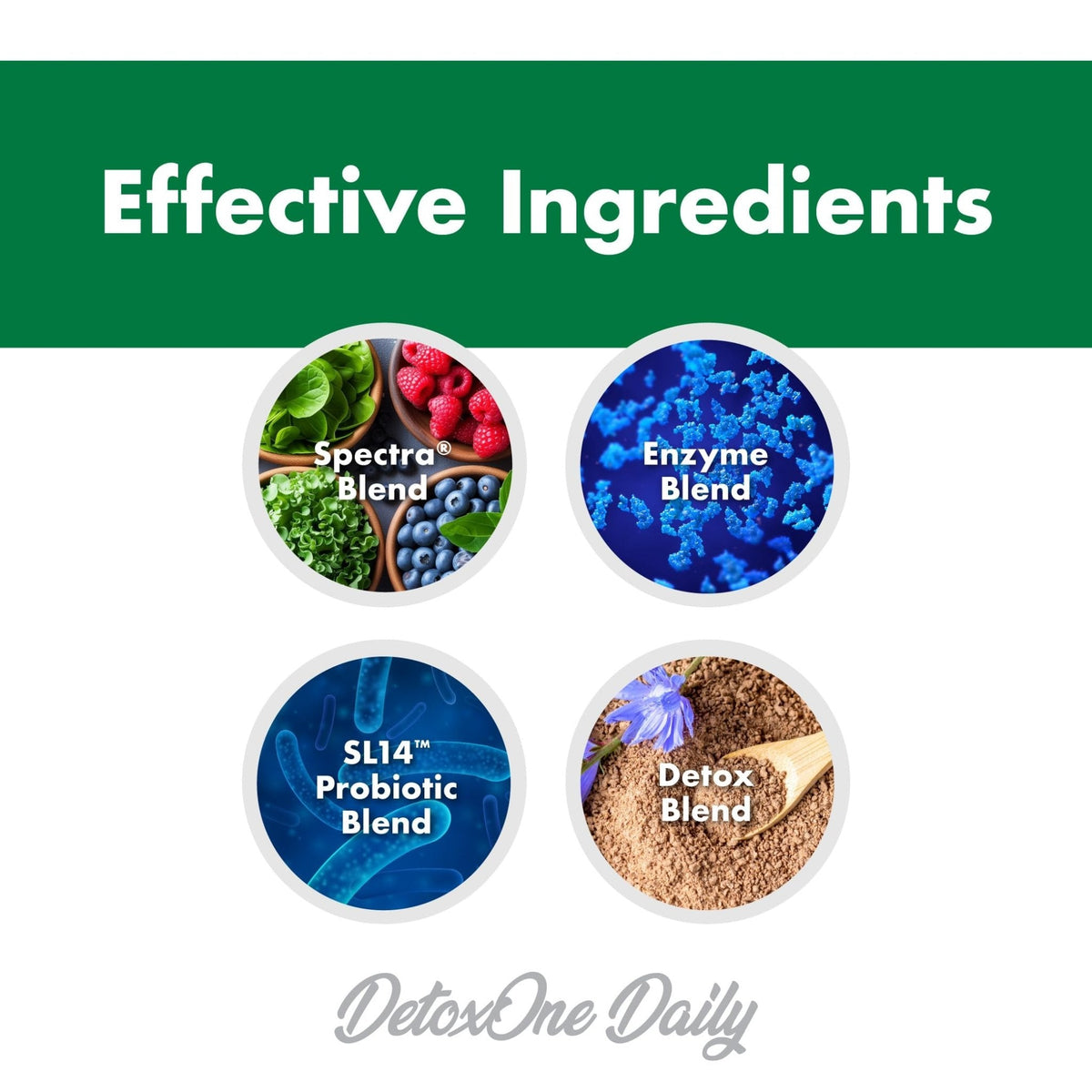 DetoxOne Daily Gut Health Powder* | Supports Normal/Healthy Digestive Function*| Promotes Detoxification*| Boost Energy & Improves Nutrient Absorption* - Maple Wellness Supplements