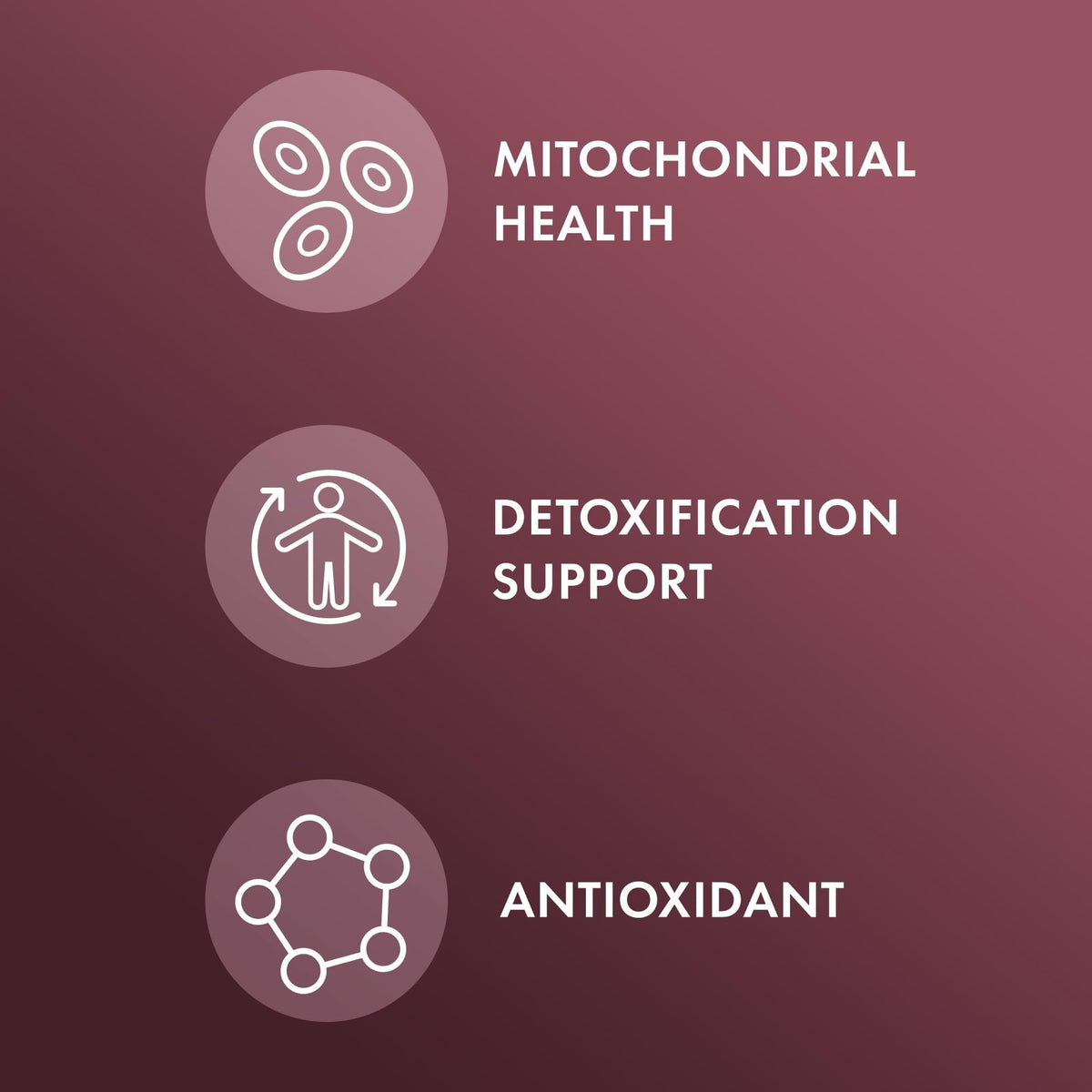 Dr. Mercola NAC with Milk Thistle - with Antioxidants - Supports Normal Detoxification Processes - 500 mg N-Acetyl-Cysteine per Serving - Non-GMO - Maple Wellness Supplements