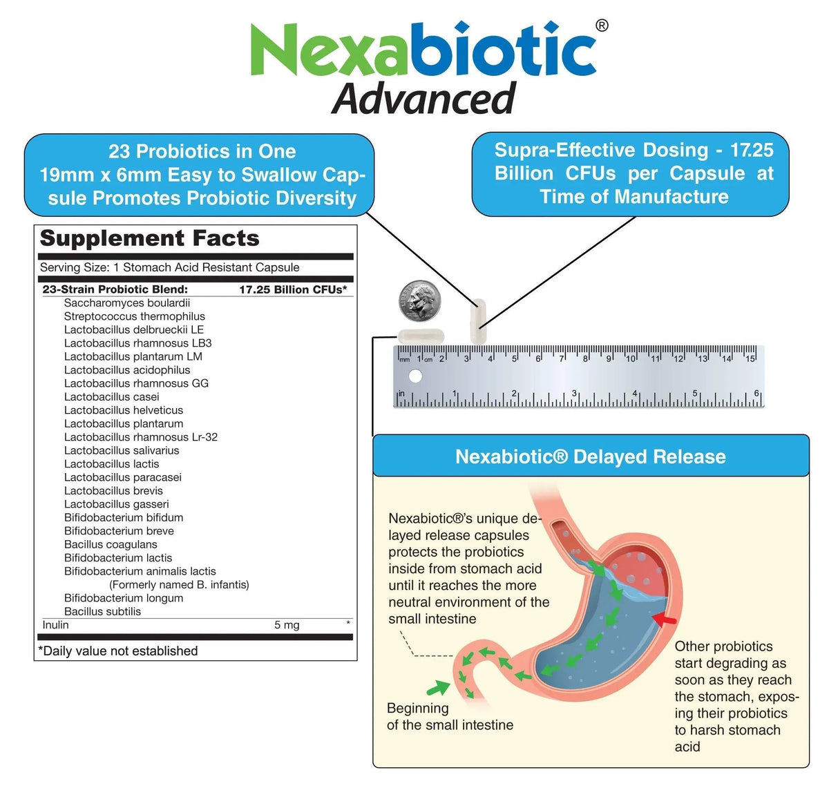 DrFormulas Nexabiotic 23 Multi Probiotic for Women and Men - Dr. formulated with Lactobacillus Acidophilus, Bifidobacterium Infantis, Saccharomyces Boulardii, 17.25 Billion CFUs - Maple Wellness Supplements