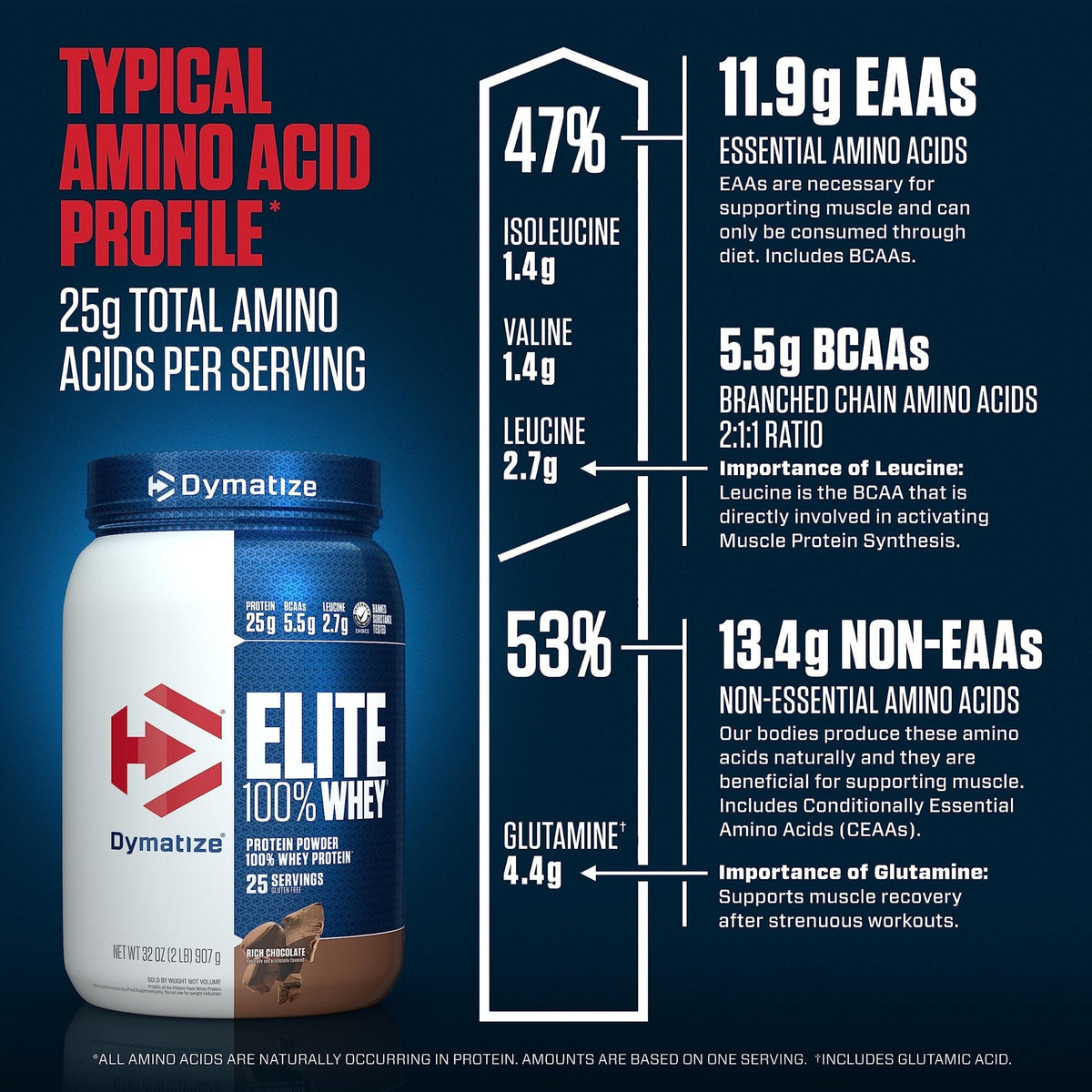 Dymatize Elite 100% Whey Protein Powder, 25g Protein, 5.5g BCAAs & 2.7g L-Leucine - Maple Wellness Supplements